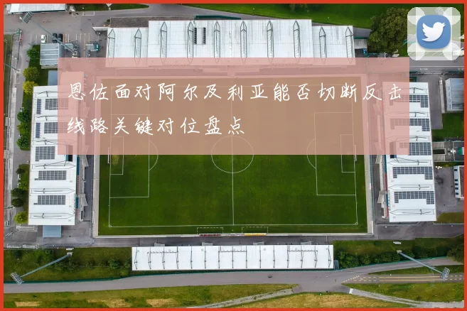 恩佐面对阿尔及利亚能否切断反击线路关键对位盘点