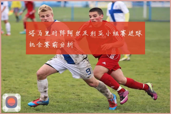 塔马里对阵阿尔及利亚小组赛进球机会赛前分析
