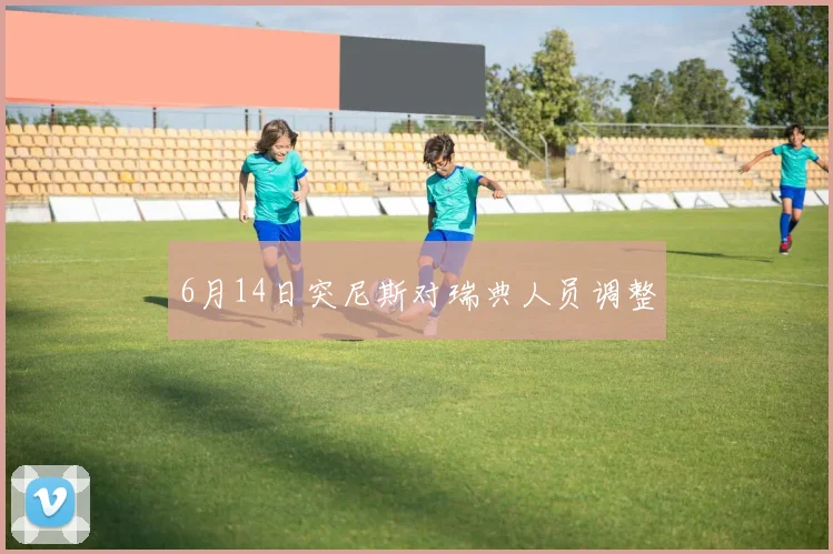6月14日突尼斯对瑞典人员调整